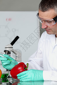 丙型DNA生物工人工作职场科学家医生研究员蔬菜化学品植物红辣椒高清图片素材
