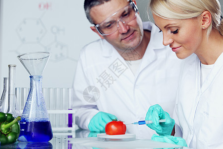 番茄DNA老师微生物学科学家药品化学生物学医生手套食物男人图片