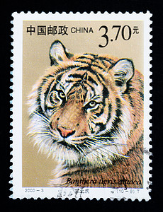2000年中国-CIRCA 中国印刷的印章显示系列 circa 2000图片