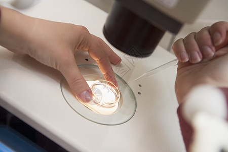 把精子添加到蛋里中年显微镜人员怀孕中年人技术员生育力女性医师程序图片
