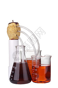 食品分析分析活力管子实验排水学习研究烧杯创新化学资源背景图片