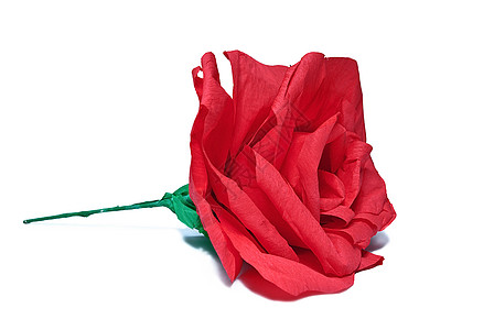 红玫瑰花宏观礼物感情装潢叶子植物庆典紫色周年纪念日图片
