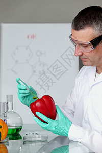 丙型DNA研究员生物学职场手套显微镜实验化学品测试医生蔬菜绿色的高清图片素材