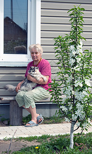 夏令营里的女人和猫在手塑料住宅休息花园房子老年赛丁良种窗户苹果树图片