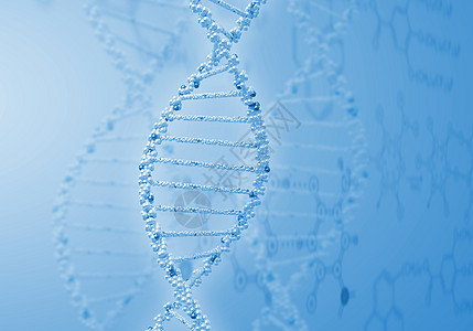 DNA线条图解遗传学细胞基因组化学制药生物药店插图克隆基因图片