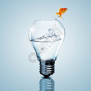 电灯泡里有金鱼金子想像力技术活力思考游泳蓝色金属水族馆玻璃图片