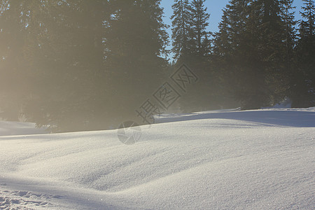 山丘和雪雪丘陵季节雪景森林脚印荒野农村天际云杉晴天图片