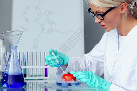 番茄DNA眼镜显微镜测试工人实验室药品男人研究员手套食物图片