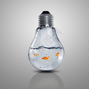 电灯泡里有金鱼活力环境思考水族馆金子商业想像力技术亮度智力图片