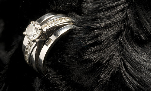 结婚戒指环境毛皮反射钻石石头黑色宝石图片