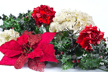 圣诞节Pininsetia假期礼物花瓣浆果季节植物群传统庆典季节性绿色图片