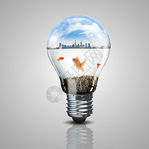 电灯泡里有金鱼想像力液体游泳创造力解决方案商业蓝色思考活力技术图片