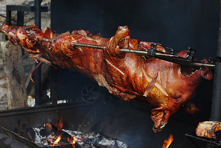 猪在烤架上烧烤庆典动物小猪食物烧伤农场派对节日图片