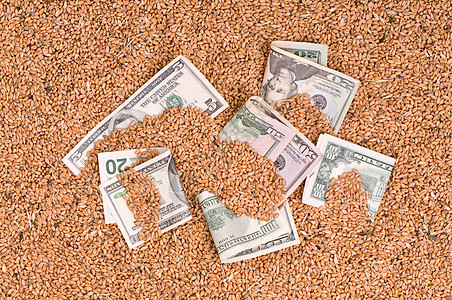 美元黄色小麦乡村货币团体谷物收益商业金融贸易图片