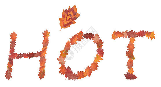 用秋叶做的热字词图片