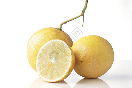 柠檬生长果汁饮食香橼热带橙子树叶收成叶子植物图片