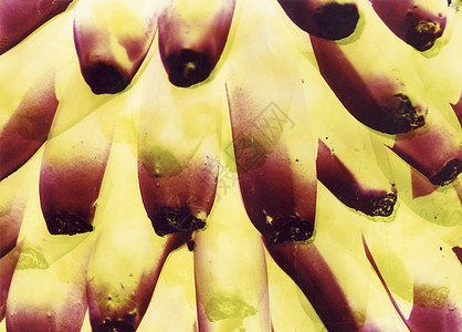 抽象香蕉黄色概念背景图片