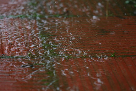 户外雨气泡波纹运动速度涟漪宏观同心雨滴海浪环境图片