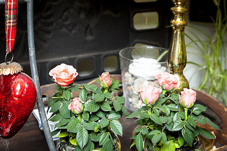 小玫瑰花美丽花朵宏观花束团体园艺植物群花园庆典植物图片