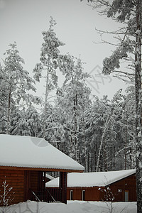 冬冬房星星雪花滑雪季节松树庆典场景天空木头降雪图片