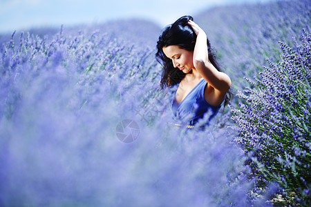 女人坐在紫衣草地上日落灌洗旅行紫色女孩黑发农村活动裙子地平线图片