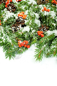 圣诞节背景  除夜  框架框架庆典木板植物边界海报浆果雪堆明信片锥体假期图片