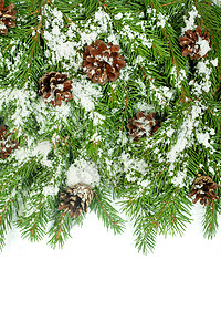 圣诞节背景  除夜  框架框架墙纸木板标语新年松树明信片海报雪堆植物庆典图片