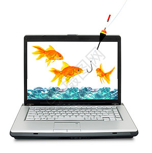 水族馆中的金鱼金子电脑鱼缸机动性钓鱼监视器手指危险互联网寂寞图片
