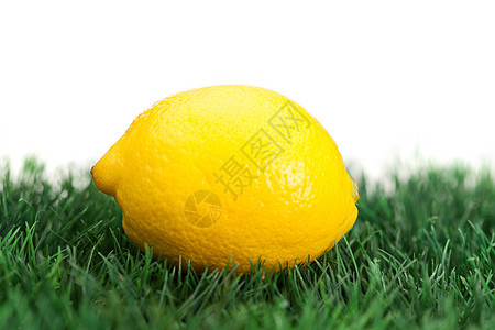 草地上的黄柠檬图片