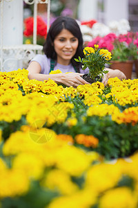 妇女占领黄色植物图片