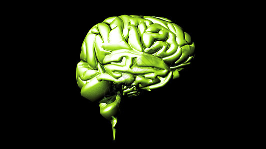 人脑高度精密的动画射线头脑学习医院身体扫描智慧器官思考艺术图片