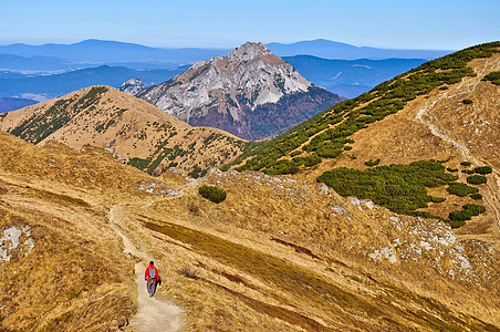 斯洛伐克山丘在马拉法特拉漫步图片