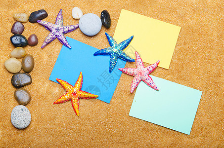 沙子和碎石上的空白信息海星异国热带星星收藏海岸软体笔记鹅卵石动物图片