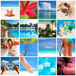 度假套件拼贴活动女性太阳棕榈天空闲暇比基尼海岸热带呼吸管图片