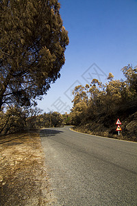 森林火灾的残留物山脉环境土地遗迹地面损害生态场景丘陵橙子图片