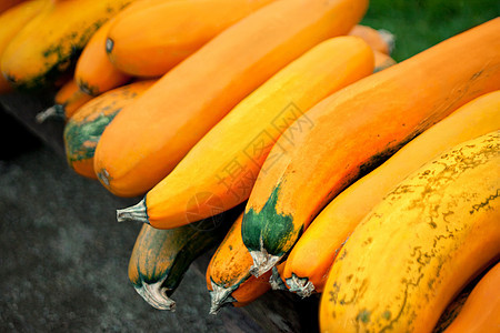 秋天的南瓜橙子收成壁球生产蔬菜市场食物季节营养农场图片