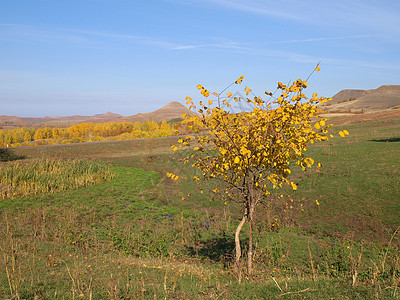 秋季风景山峰黄色天空落叶丘陵金子草地树叶树木绿色图片