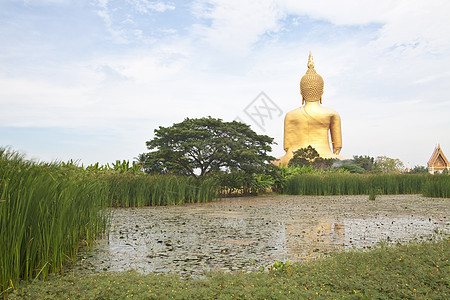 大佛祖雕像农民精神佛教徒宗教寺庙冥想建筑学文化糖棕教会图片