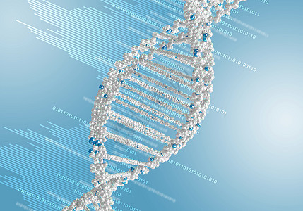 DNA线条图解科学生物生活插图药品遗传学细胞制药实验嘌呤图片