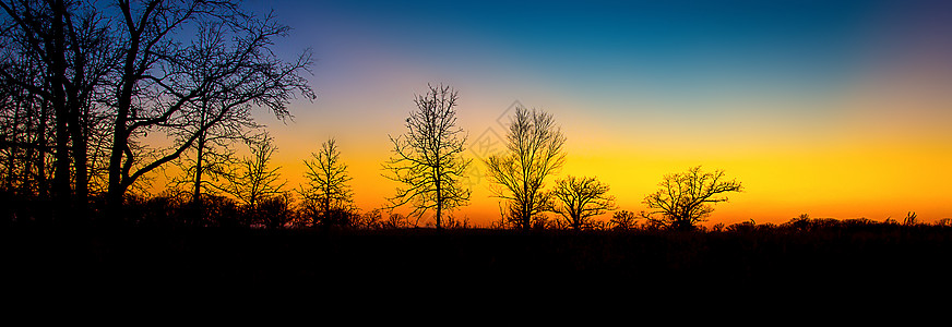 日落穿过巴伦树树木流域风景阳光色彩太阳活力草原环境橙子图片