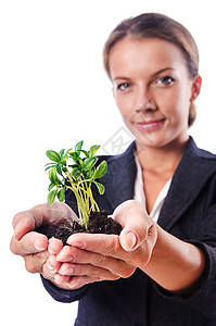 白种树苗的女商务人士紧缩园艺收益幼苗银行业企业家财富金子花园硬币图片