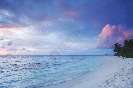 海滩日落金子热带冲浪海岸地平线太阳风景场景阳光假期图片