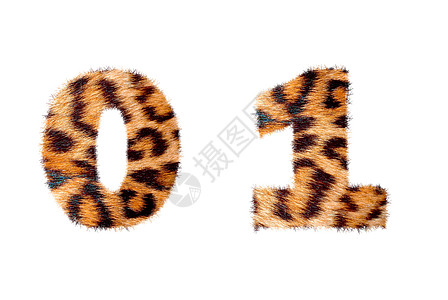 豹皮上的自定义数字符号基数条纹丛林羊毛荒野卡通片动物毛皮写作野生动物风格图片