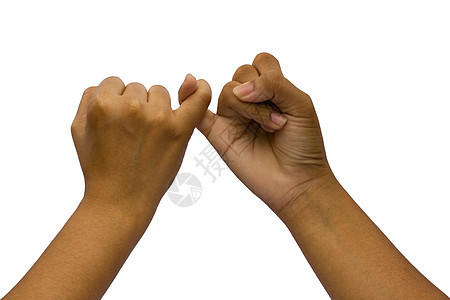 双手并举 在白色背景上被孤立父母社会身体手臂商业联盟绿色协议交易合同图片