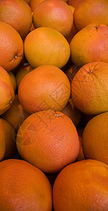 橘子生产收成环境叶子水果果园农作物食物热带农场图片