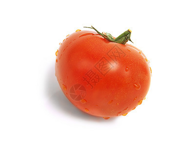 带水滴的孤立红番茄图片