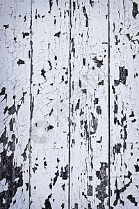 旧油漆木材背景控制板宏观剥皮风化白色裂缝质感木头木板粮食图片
