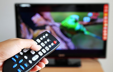 将电视遥控器指向电视机的手闲暇按钮娱乐电视屏幕生活互联网电子控制电影图片