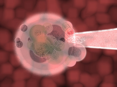 红血有机体细胞和IVFDNA注射针头图片