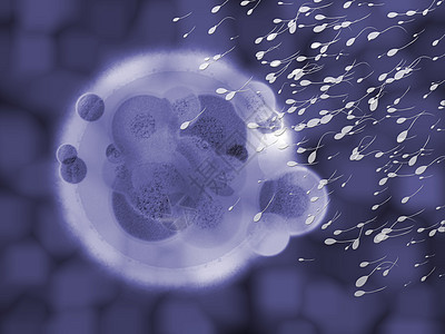 蓝3有机体细胞体物质医学说明 “许多”图片
